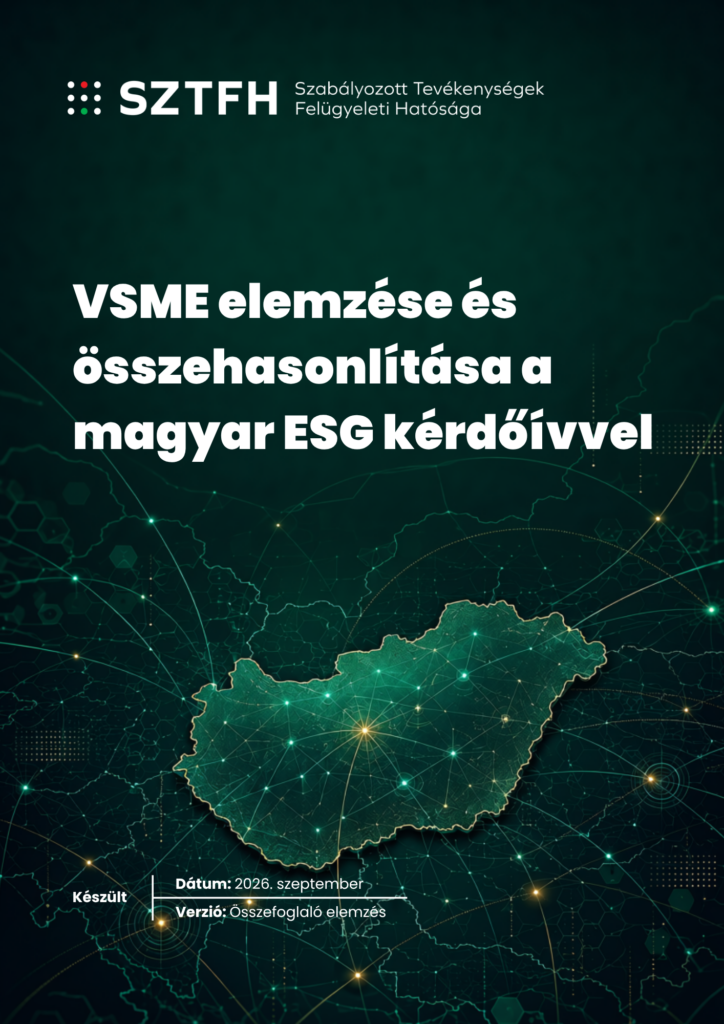 VSME elemzés – ESG Útmutató